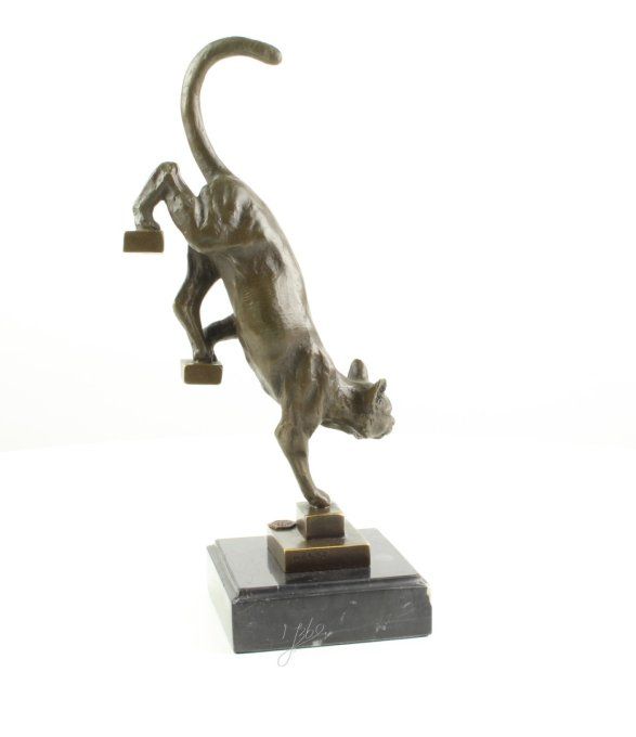 BA03.Chat qui descend les marches